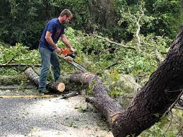 Best Leaf Removal  in Holiday Valley, OH